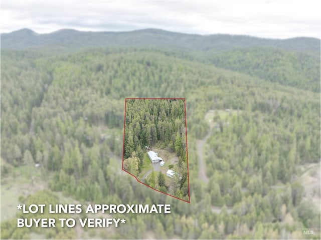 bird's eye view with a forest view and a mountain view