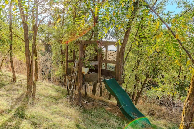 view of jungle gym