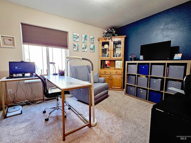 home office featuring carpet