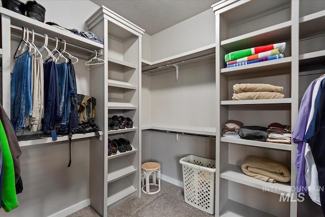 view of spacious closet