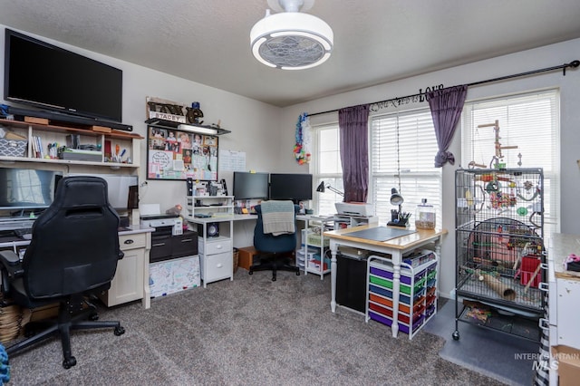 carpeted office featuring a textured ceiling