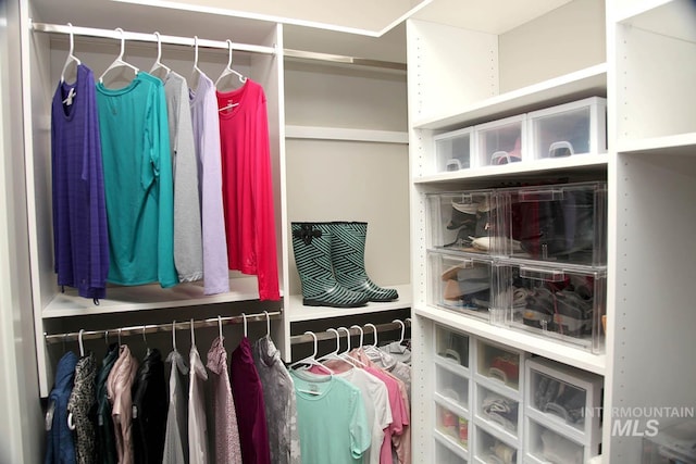 view of walk in closet