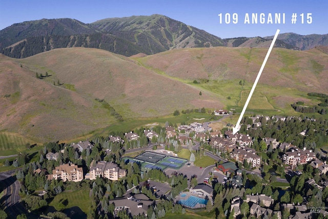 109 Angani Way Unit 15, Sun Valley, ID 83353 - view of mountain background