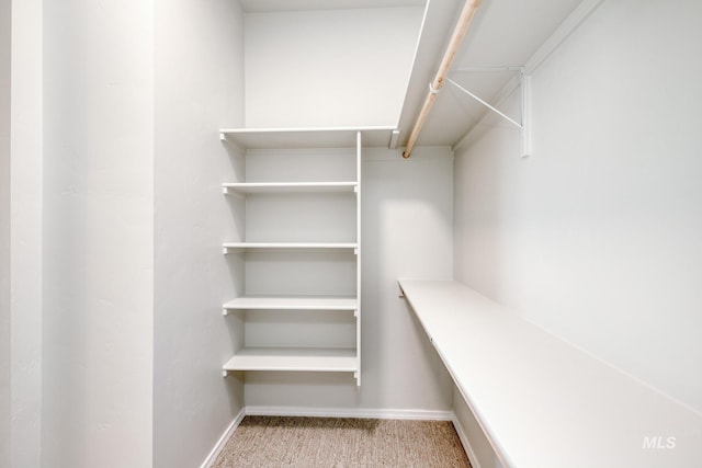 walk in closet with light colored carpet