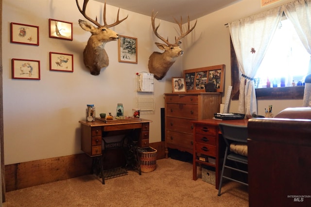 view of carpeted office space