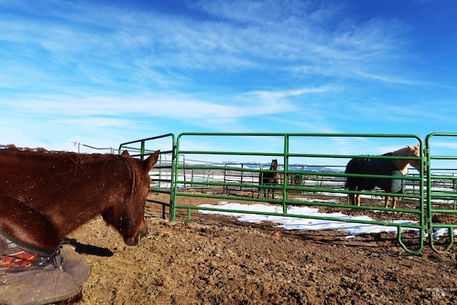 view of horse barn with a rural view