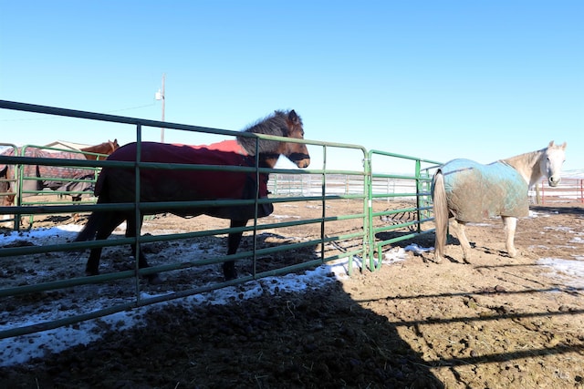 view of stable featuring a rural view