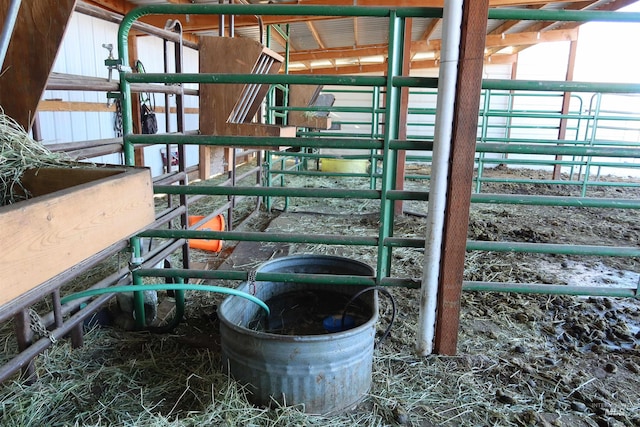 view of horse barn