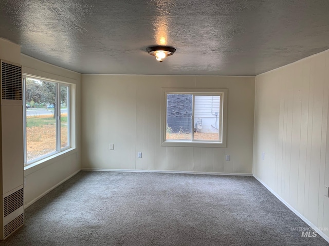 spare room featuring carpet floors, baseboards, and a textured ceiling