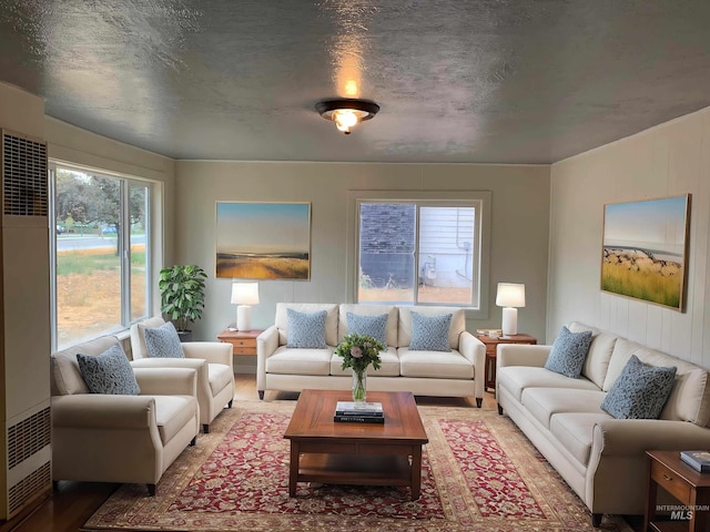 living room with a textured ceiling and wood finished floors