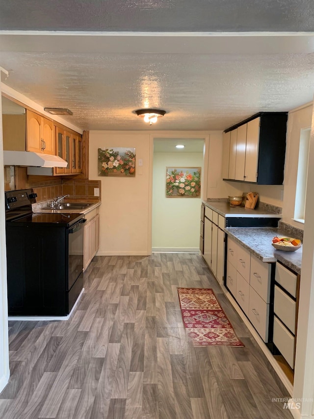 kitchen with a textured ceiling, under cabinet range hood, a sink, light wood-type flooring, and black electric range oven