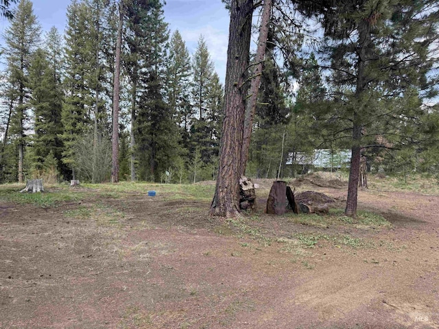 26 Doaka Ct, Idaho City, ID 83631 - view of yard