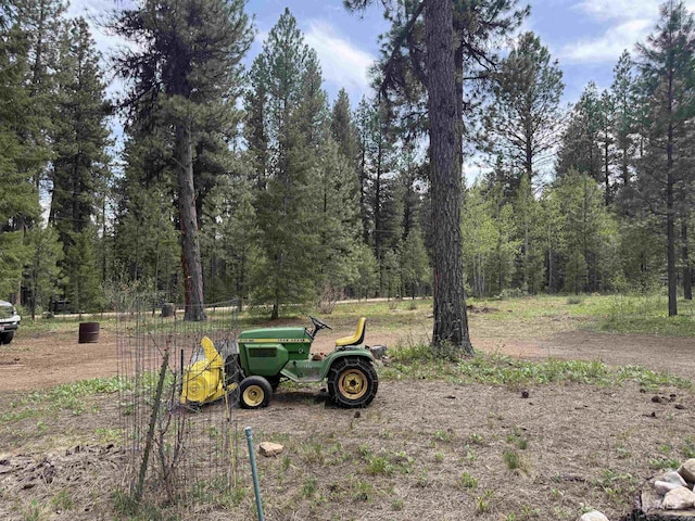26 Doaka Ct, Idaho City, ID 83631 - view of yard with a forest view