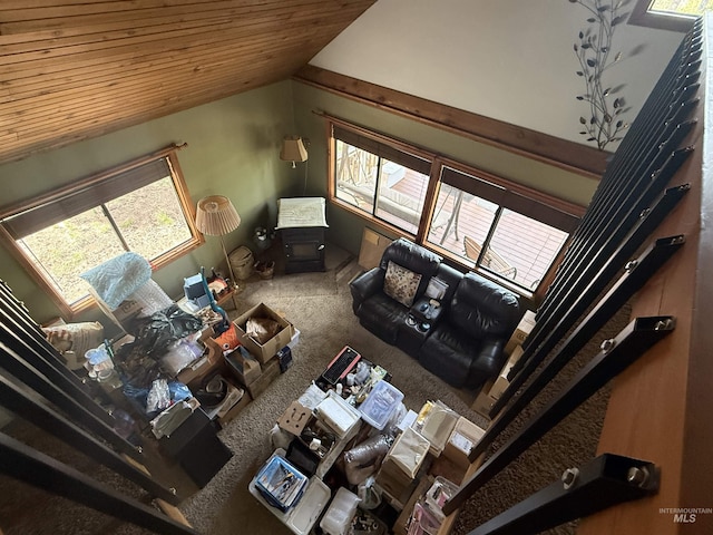26 Doaka Ct, Idaho City, ID 83631 - carpeted living room featuring lofted ceiling and wooden ceiling