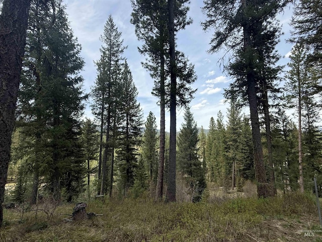 26 Doaka Ct, Idaho City, ID 83631 - view of woods