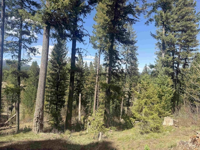 26 Doaka Ct, Idaho City, ID 83631 - view of woods