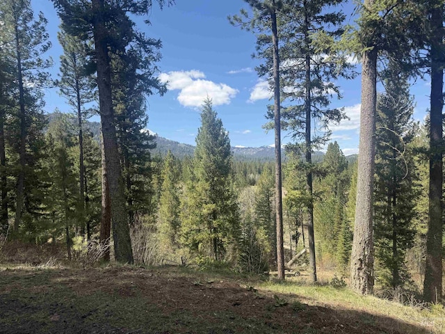 26 Doaka Ct, Idaho City, ID 83631 - view of mountain background with a heavily wooded area