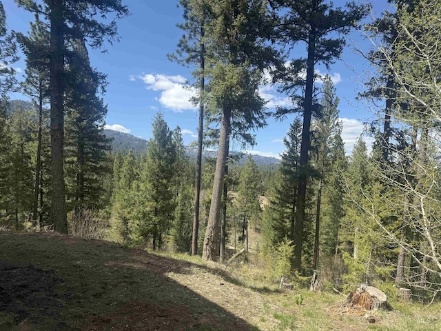 26 Doaka Ct, Idaho City, ID 83631 - view of wooded area