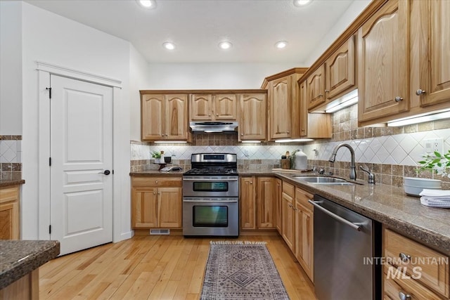 kitchen with light wood finished floors, extractor fan, stainless steel appliances, and a sink