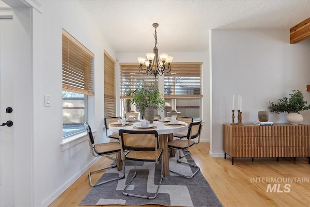 dining space with a chandelier, radiator heating unit, wood finished floors, and a healthy amount of sunlight