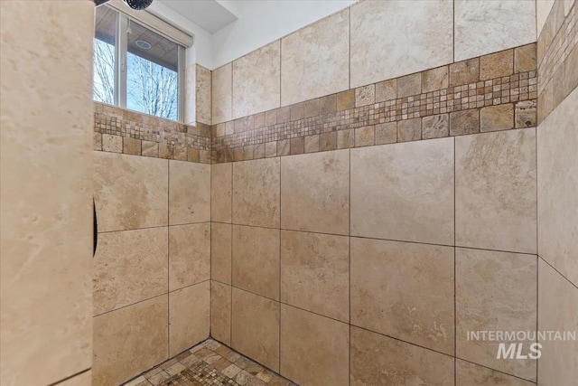 room details featuring tiled shower