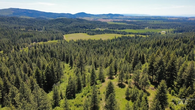 TBD Smokey Bear Ln, Kendrick, ID 83537