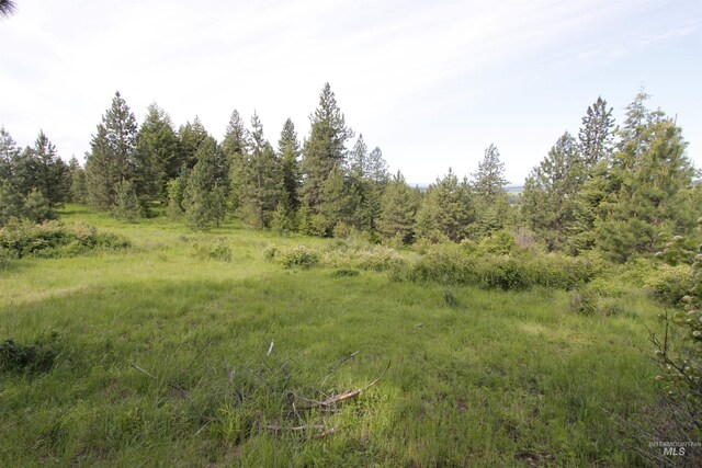 TBD Smokey Bear Ln, Kendrick, ID 83537