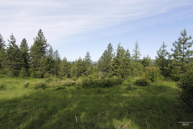 TBD Smokey Bear Ln, Kendrick, ID 83537