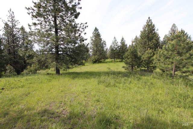 TBD Smokey Bear Ln, Kendrick, ID 83537