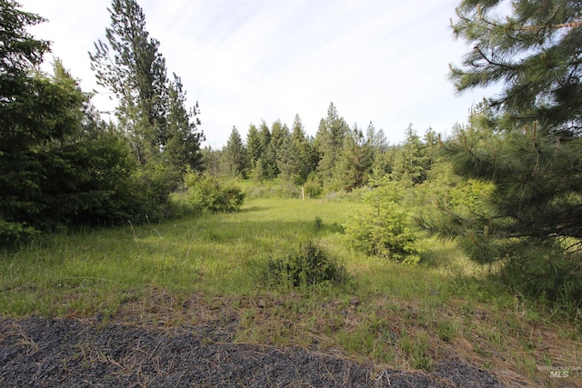 TBD Smokey Bear Ln, Kendrick, ID 83537