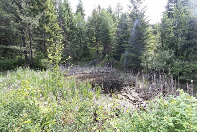 TBD Smokey Bear Ln, Kendrick, ID 83537