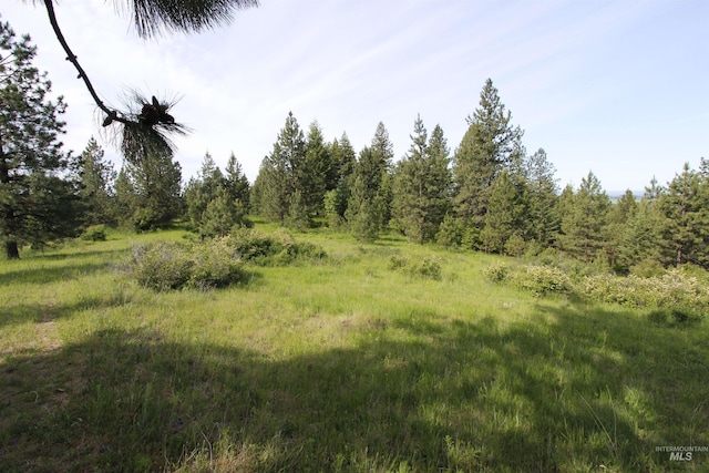 TBD Smokey Bear Ln, Kendrick, ID 83537