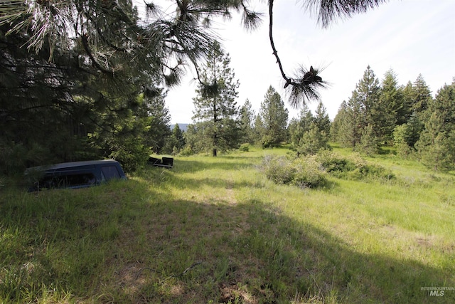 TBD Smokey Bear Ln, Kendrick, ID 83537