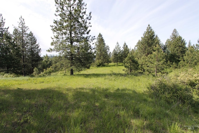 TBD Smokey Bear Ln, Kendrick, ID 83537