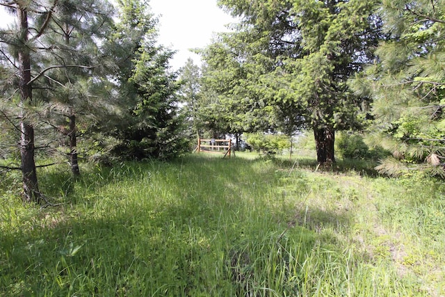 TBD Smokey Bear Ln, Kendrick, ID 83537