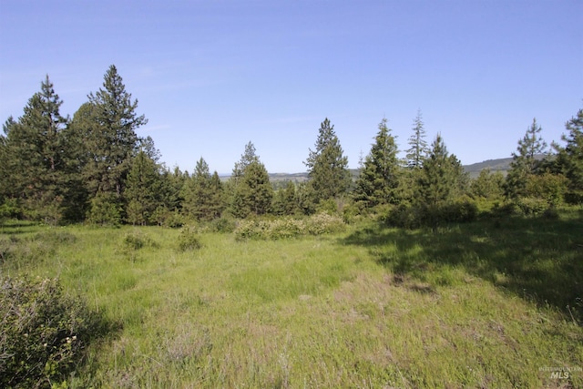 TBD Smokey Bear Ln, Kendrick, ID 83537