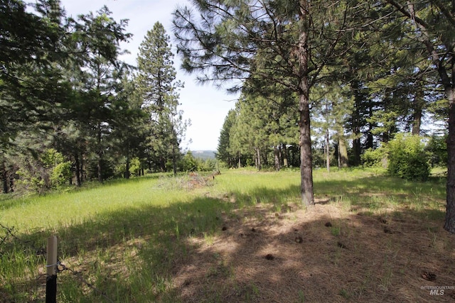 TBD Smokey Bear Ln, Kendrick, ID 83537