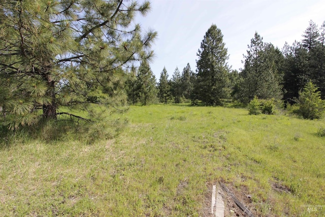 TBD Smokey Bear Ln, Kendrick, ID 83537