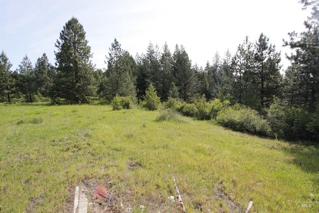 TBD Smokey Bear Ln, Kendrick, ID 83537