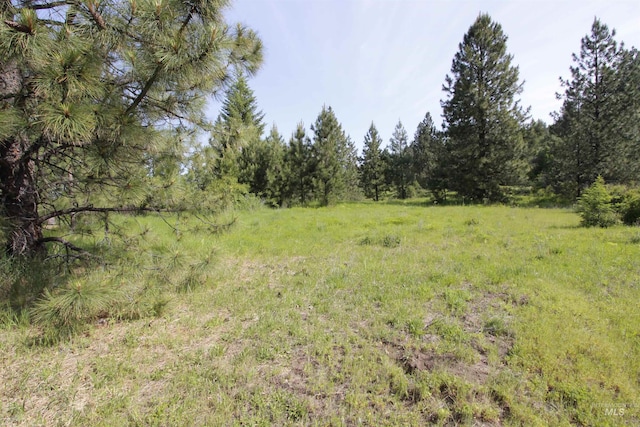 TBD Smokey Bear Ln, Kendrick, ID 83537
