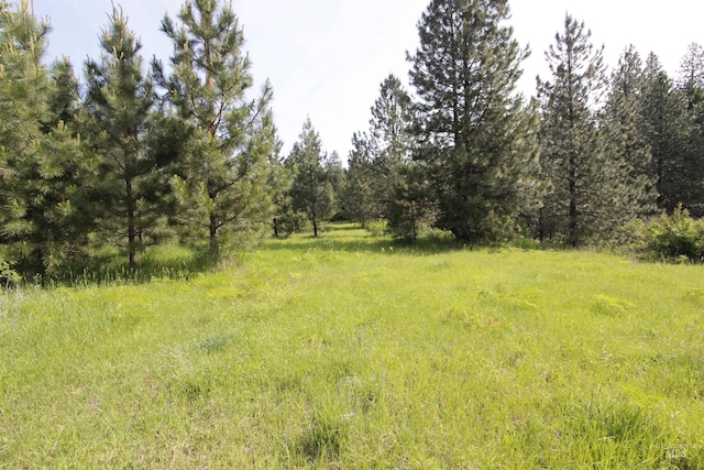 TBD Smokey Bear Ln, Kendrick, ID 83537