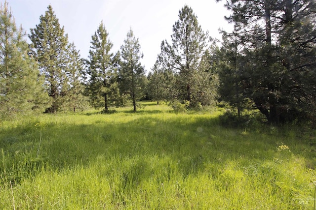 TBD Smokey Bear Ln, Kendrick, ID 83537