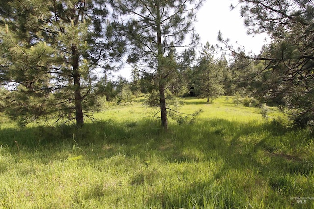 TBD Smokey Bear Ln, Kendrick, ID 83537