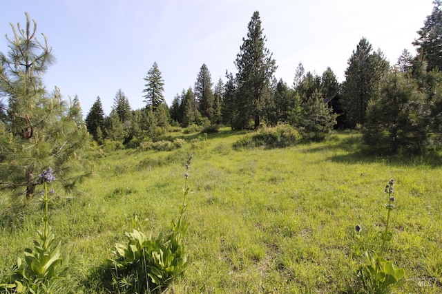 TBD Smokey Bear Ln, Kendrick, ID 83537