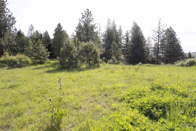 TBD Smokey Bear Ln, Kendrick, ID 83537