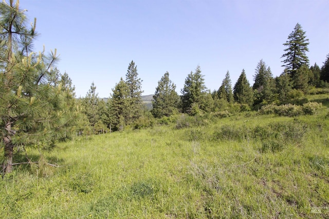TBD Smokey Bear Ln, Kendrick, ID 83537