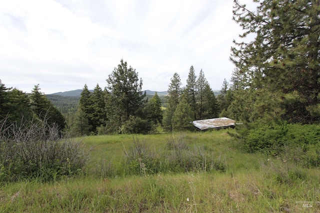 TBD Smokey Bear Ln, Kendrick, ID 83537