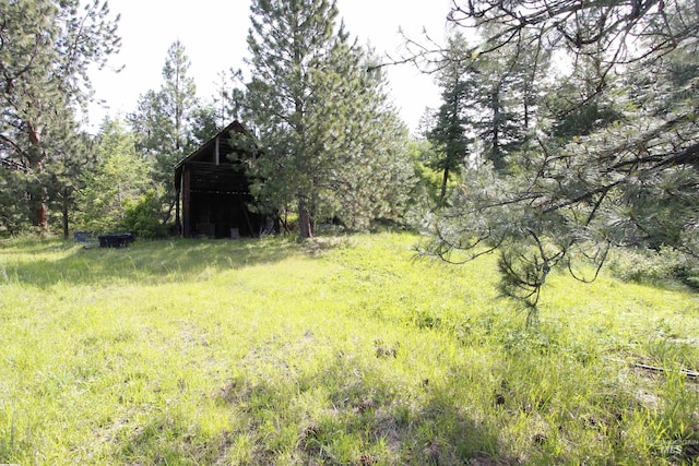 TBD Smokey Bear Ln, Kendrick, ID 83537