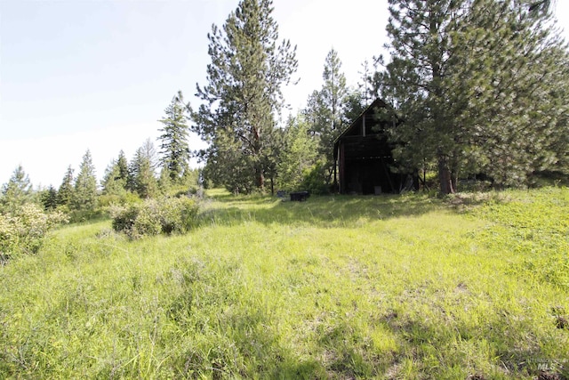 TBD Smokey Bear Ln, Kendrick, ID 83537