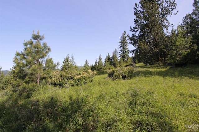 TBD Smokey Bear Ln, Kendrick, ID 83537